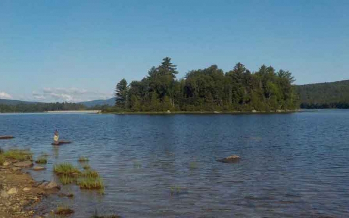 a small island populated with trees lies in the middle of blue water 